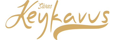 LogoKeykavus